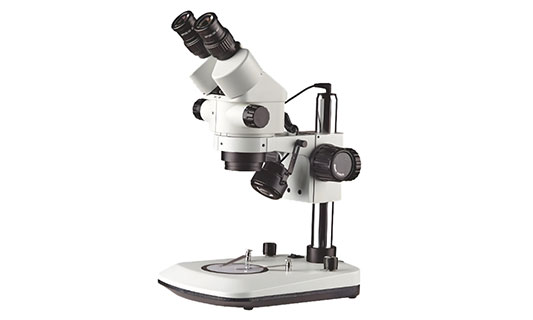 双目显微镜